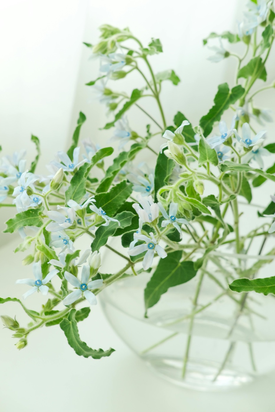 Pale-blue wildflowers and greenery, loose in a clear glass vase