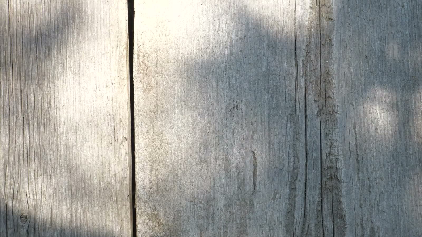 Palm-frond shadows shifting across weathered wood in warm light